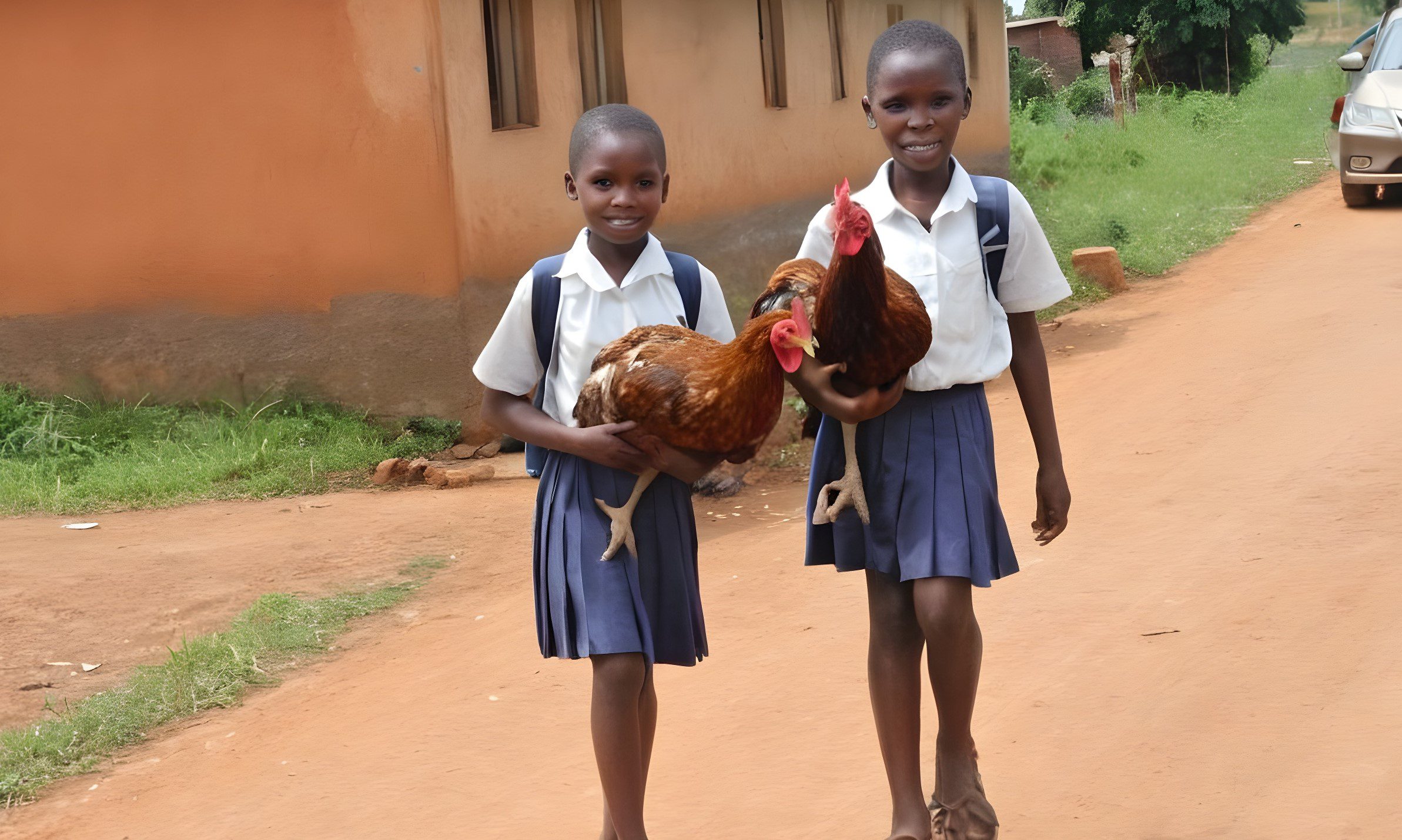 Ugandan school asks students to take hen at school